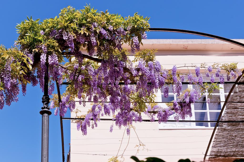 Hotel Can Roses سويير المظهر الخارجي الصورة