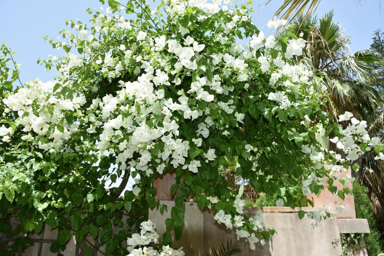Hotel Can Roses سويير المظهر الخارجي الصورة
